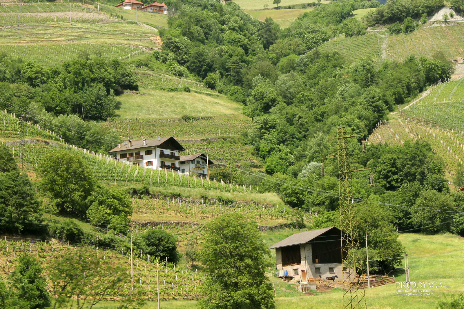 Chiusa (Klausen)